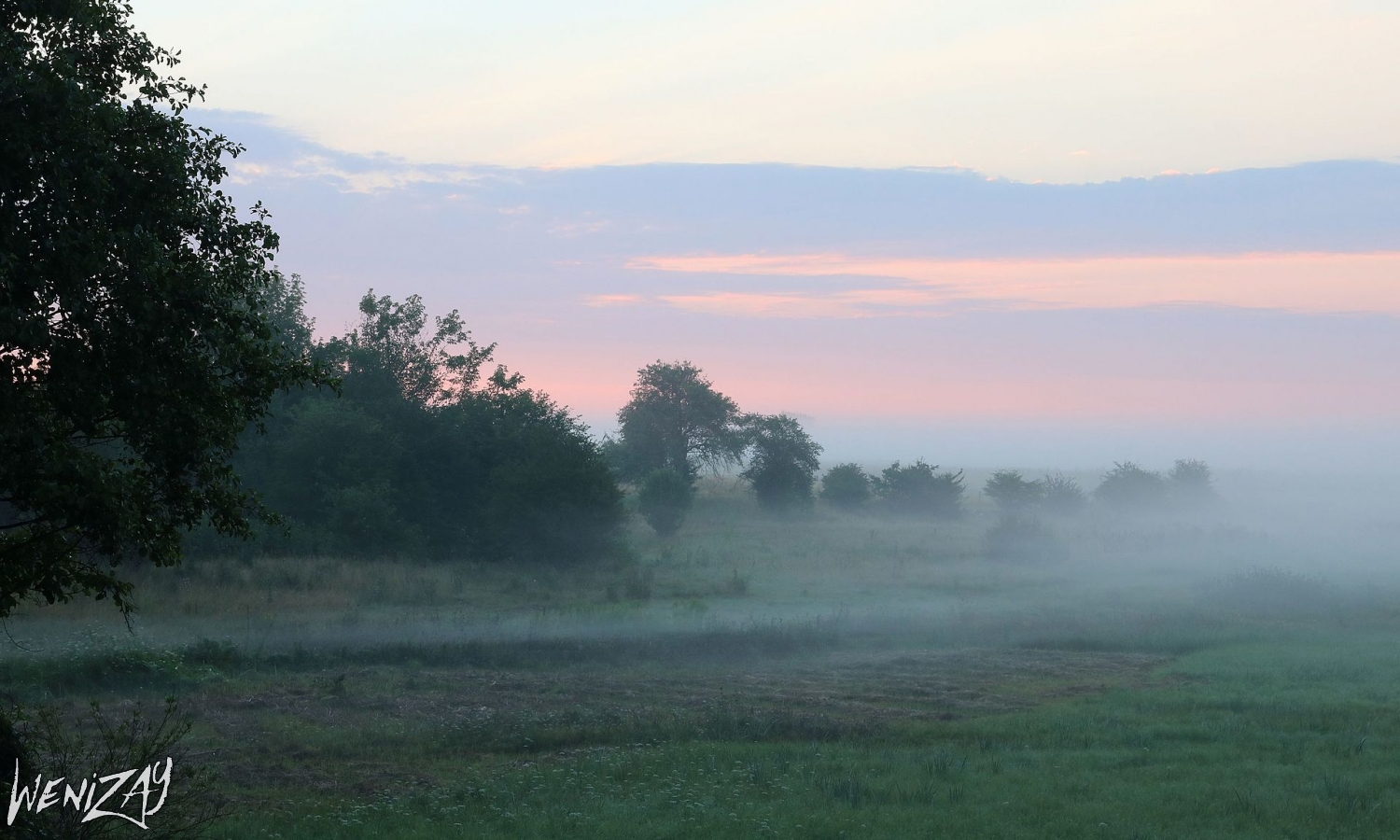 Луг на рассвете возле остановки Десенка, Винницкой области Луг на рассвете возле остановки Десенка, Винницкой области, Фото моменты