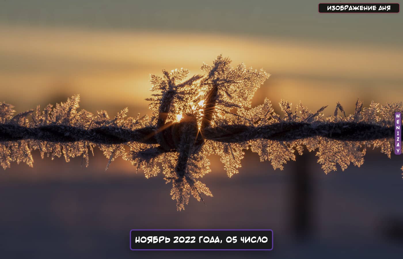 Изображение дня (Ноябрь 2022 года, 05 число) WeniZAYImages Изображение дня