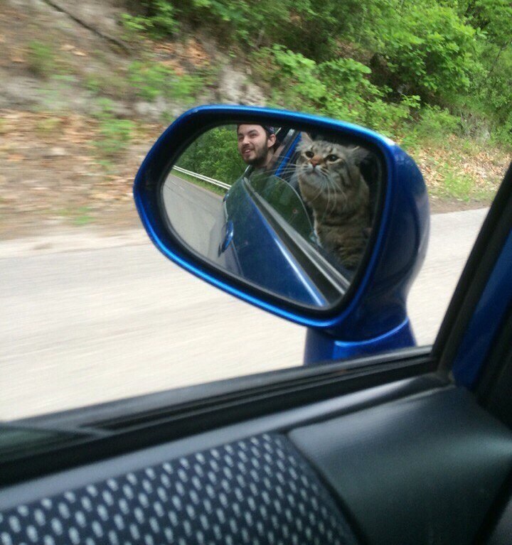 Когда хозяин нажрался, и тебе приходится везти его домой Когда хозяин нажрался, и тебе приходится везти его домой, Анекдоты и юмор