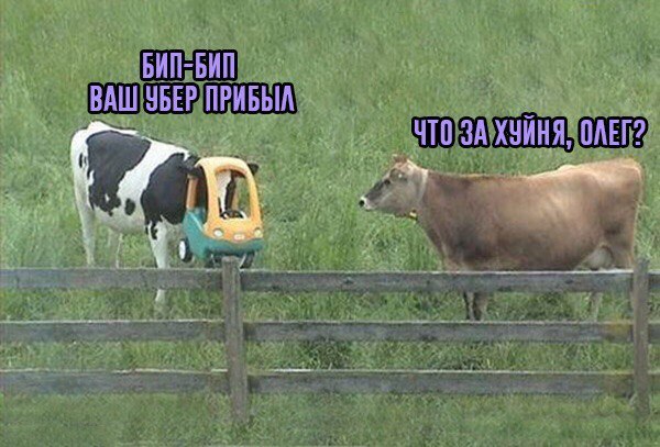 Uber прибыл Uber прибыл, Анекдоты и юмор